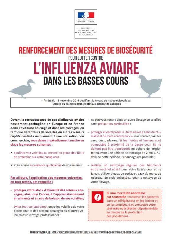You are currently viewing Influenza aviaire