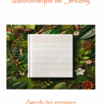 Programme Médiathèque mai et juin 2025