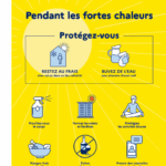 Canicule