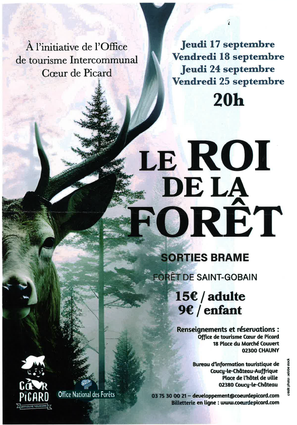 Sorties Brame en forêt de Saint-Gobain